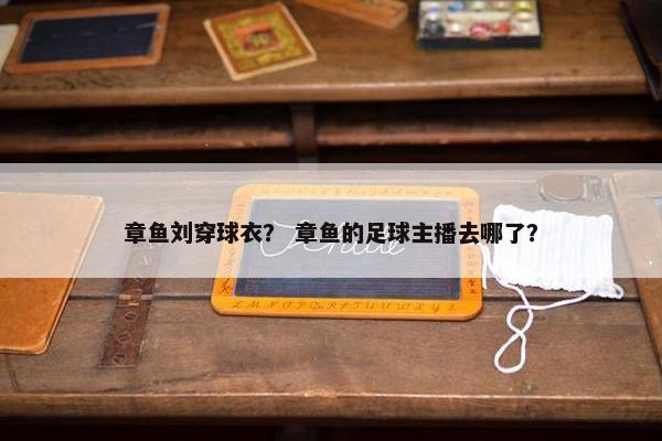 章鱼刘穿球衣？ 章鱼的足球主播去哪了？