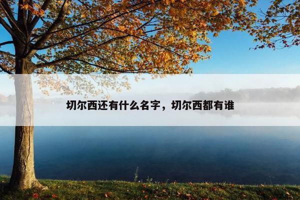 切尔西还有什么名字，切尔西都有谁