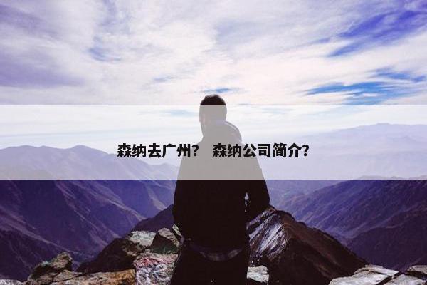 森纳去广州？ 森纳公司简介？