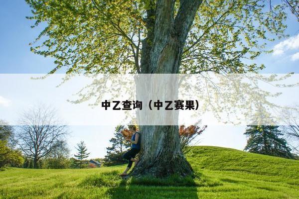 中乙查询（中乙赛果）