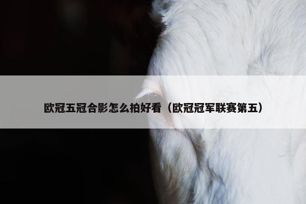 欧冠五冠合影怎么拍好看（欧冠冠军联赛第五）