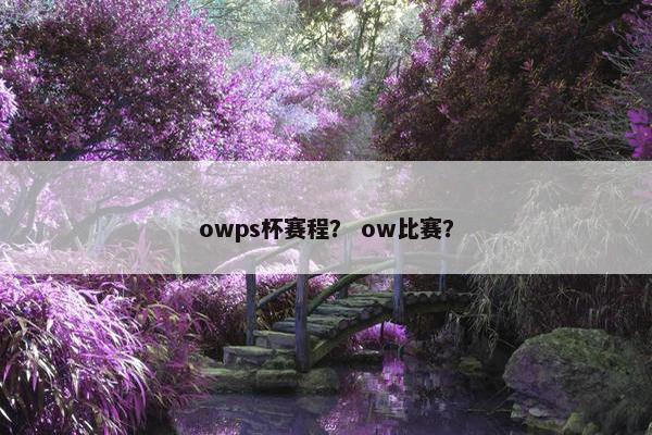 owps杯赛程？ ow比赛？