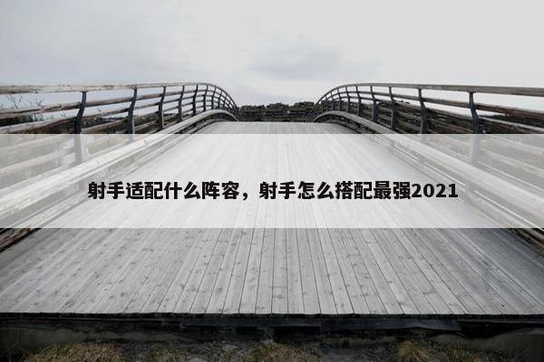 射手适配什么阵容，射手怎么搭配最强2021