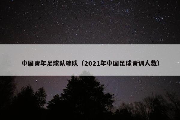 中国青年足球队输队（2021年中国足球青训人数）