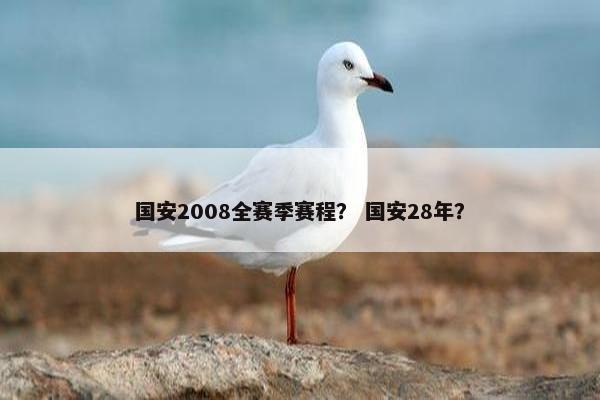 国安2008全赛季赛程？ 国安28年？