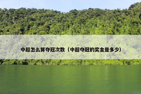 中超怎么算夺冠次数（中超夺冠的奖金是多少）