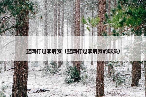 篮网打过季后赛（篮网打过季后赛的球员）