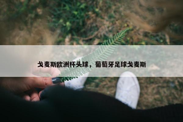 戈麦斯欧洲杯头球，葡萄牙足球戈麦斯