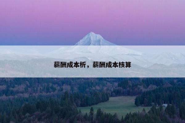 薪酬成本析，薪酬成本核算