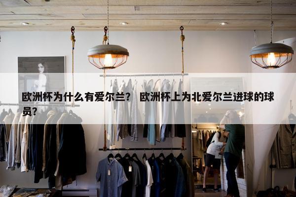 欧洲杯为什么有爱尔兰？ 欧洲杯上为北爱尔兰进球的球员？