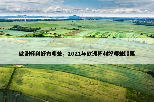 欧洲杯利好有哪些，2021年欧洲杯利好哪些股票