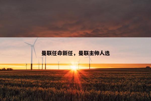 曼联任命新任，曼联主帅人选