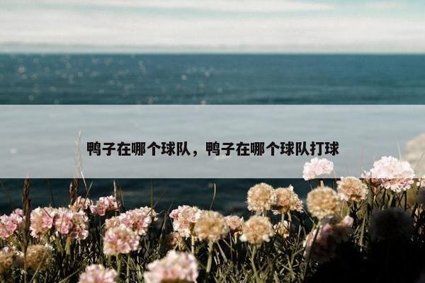 鸭子在哪个球队，鸭子在哪个球队打球