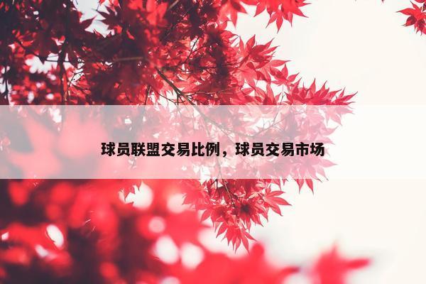 球员联盟交易比例，球员交易市场