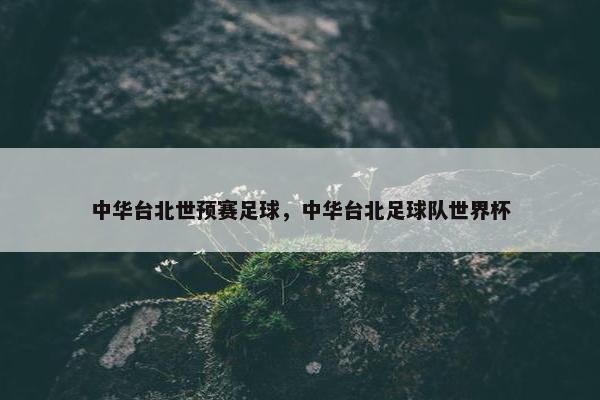 中华台北世预赛足球，中华台北足球队世界杯