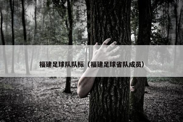 福建足球队队标（福建足球省队成员）