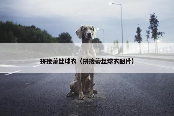 拼接蕾丝球衣（拼接蕾丝球衣图片）
