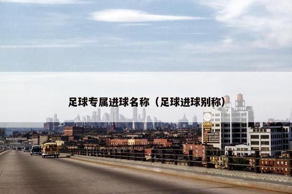 足球专属进球名称（足球进球别称）
