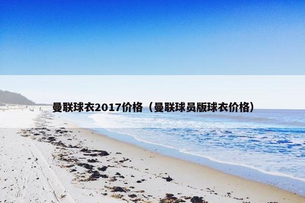 曼联球衣2017价格（曼联球员版球衣价格）
