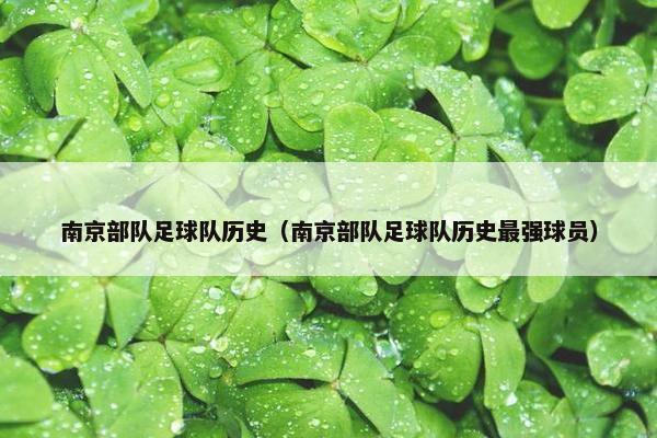 南京部队足球队历史（南京部队足球队历史最强球员）