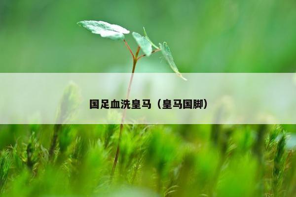 国足血洗皇马（皇马国脚）