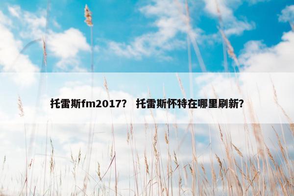 托雷斯fm2017？ 托雷斯怀特在哪里刷新？