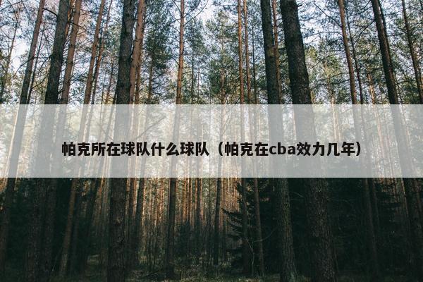帕克所在球队什么球队（帕克在cba效力几年）