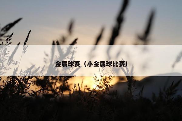 金属球赛（小金属球比赛）