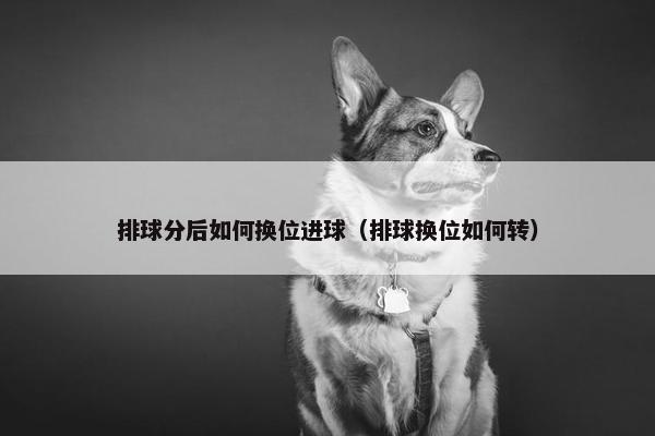 排球分后如何换位进球（排球换位如何转）