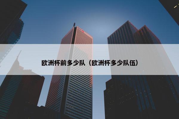 欧洲杯前多少队（欧洲杯多少队伍）