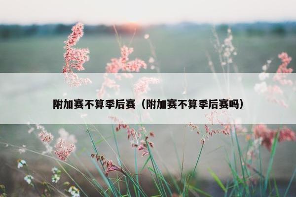 附加赛不算季后赛（附加赛不算季后赛吗）