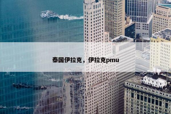泰国伊拉克，伊拉克pmu