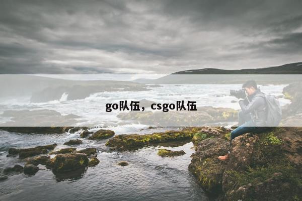 go队伍，csgo队伍