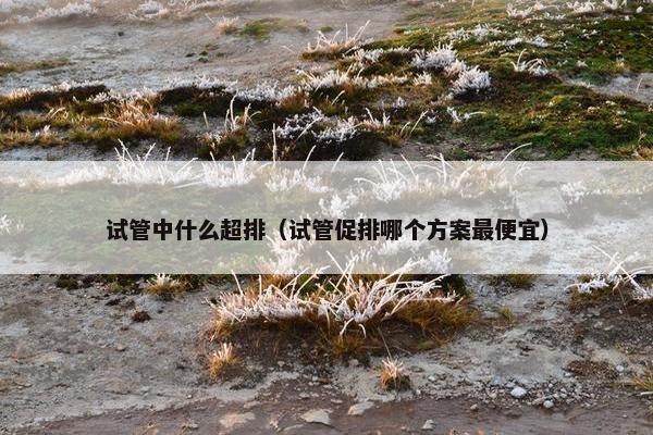 试管中什么超排（试管促排哪个方案最便宜）