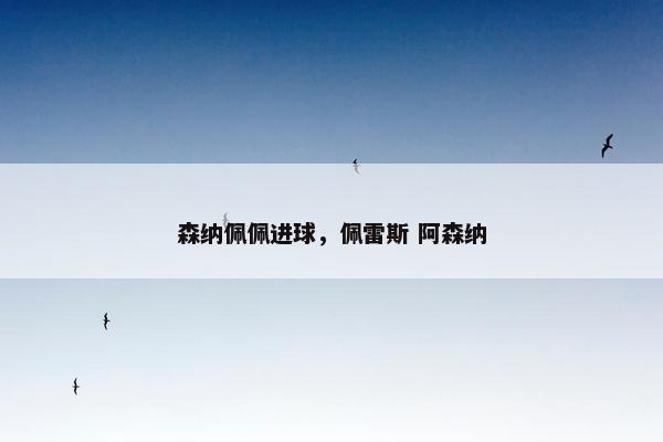 森纳佩佩进球，佩雷斯 阿森纳