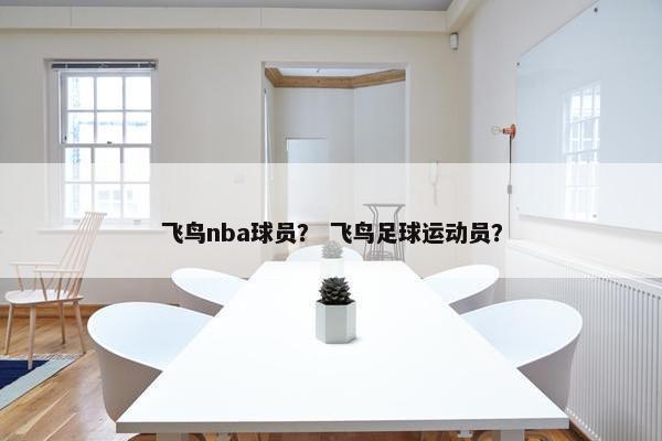 飞鸟nba球员？ 飞鸟足球运动员？