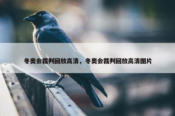 冬奥会裁判回放高清，冬奥会裁判回放高清图片