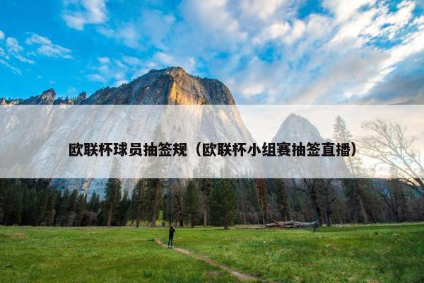 欧联杯球员抽签规（欧联杯小组赛抽签直播）