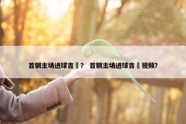 首钢主场进球吉喆？ 首钢主场进球吉喆视频？