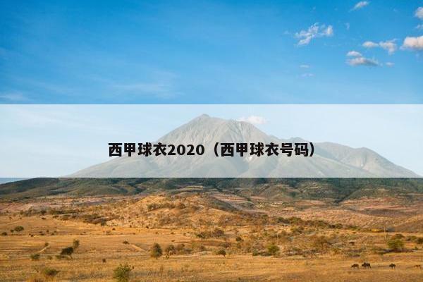 西甲球衣2020（西甲球衣号码）