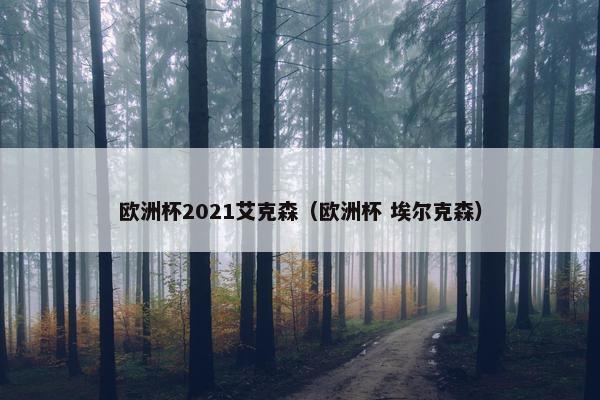 欧洲杯2021艾克森（欧洲杯 埃尔克森）