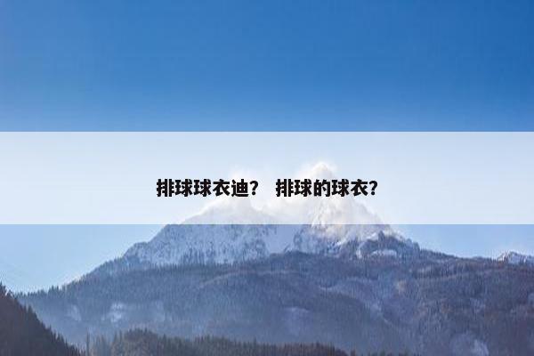 排球球衣迪？ 排球的球衣？
