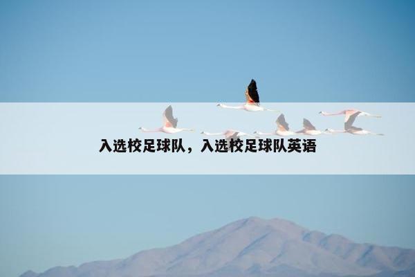 入选校足球队，入选校足球队英语