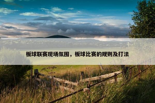 板球联赛现场氛围，板球比赛的规则及打法