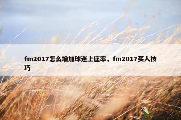 fm2017怎么增加球迷上座率，fm2017买人技巧