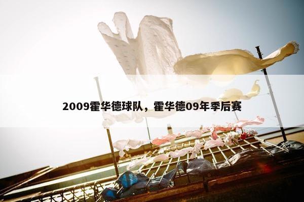 2009霍华德球队，霍华德09年季后赛