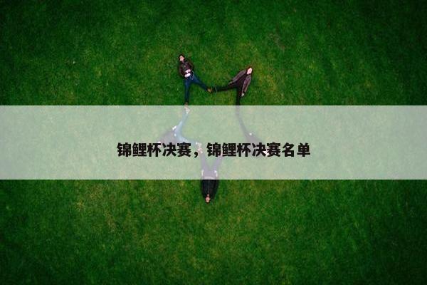 锦鲤杯决赛，锦鲤杯决赛名单
