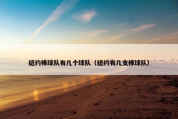 纽约棒球队有几个球队（纽约有几支棒球队）