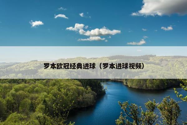 罗本欧冠经典进球（罗本进球视频）