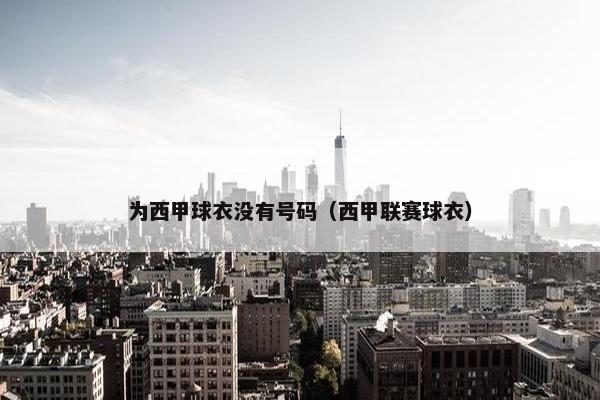 为西甲球衣没有号码（西甲联赛球衣）